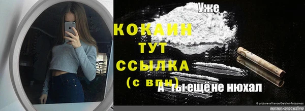 стаф Баксан