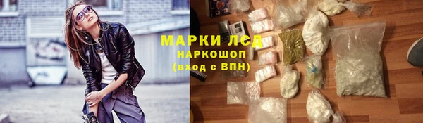 стаф Баксан