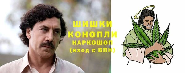 кокс Белокуриха
