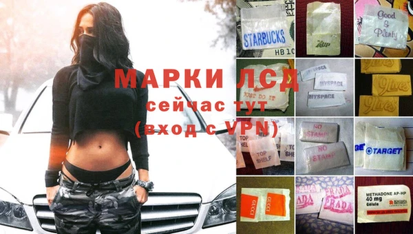 стаф Баксан