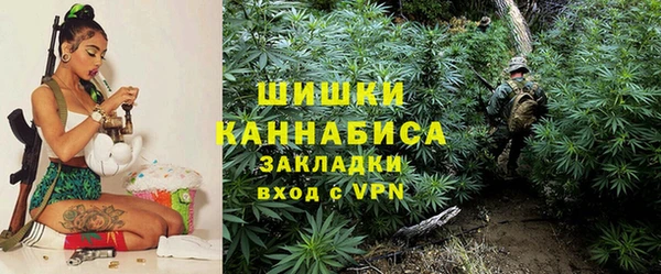 стаф Баксан