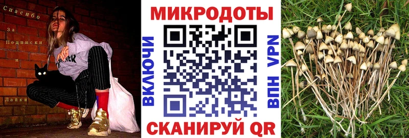 Галлюциногенные грибы Magic Shrooms  МЕГА ТОР  Калуга 