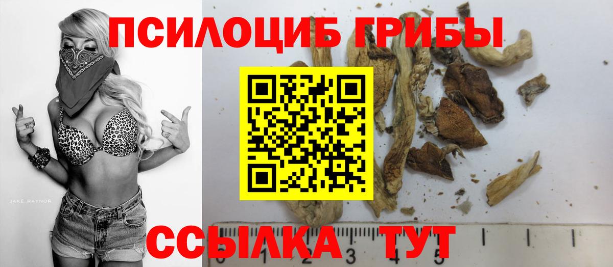 Псилоцибиновые грибы мицелий Калуга